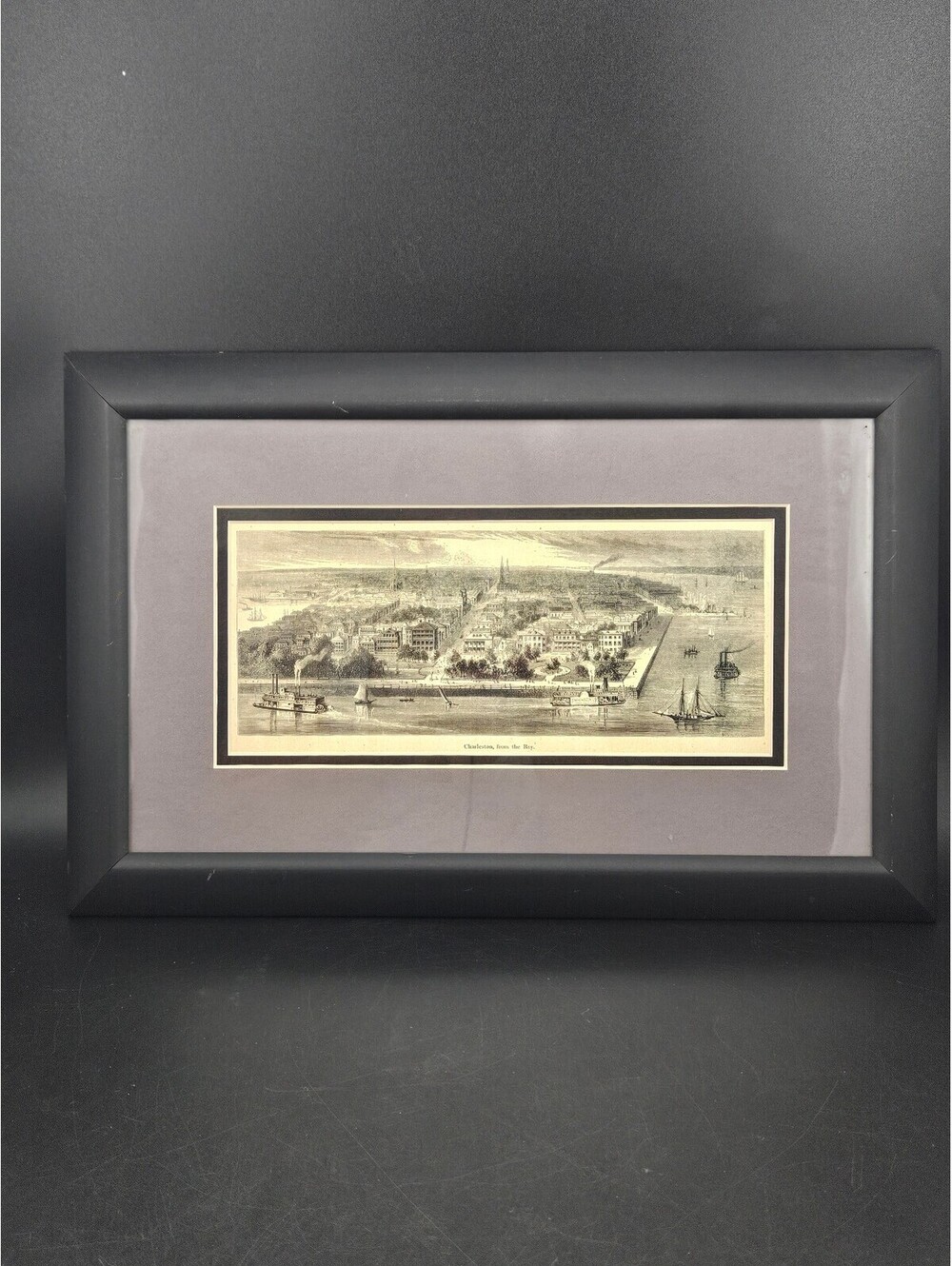 Framed Charleston South Carolina Harbor Art Historic Print Picturesque America
